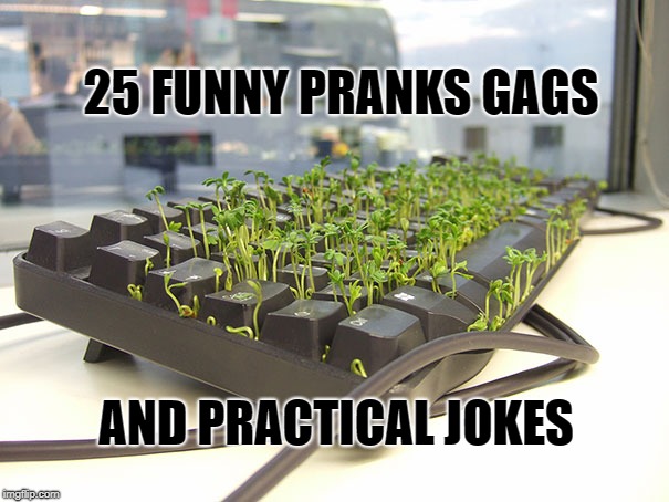 funny pranks